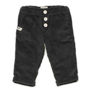 Chinos In Velluto Coccodè